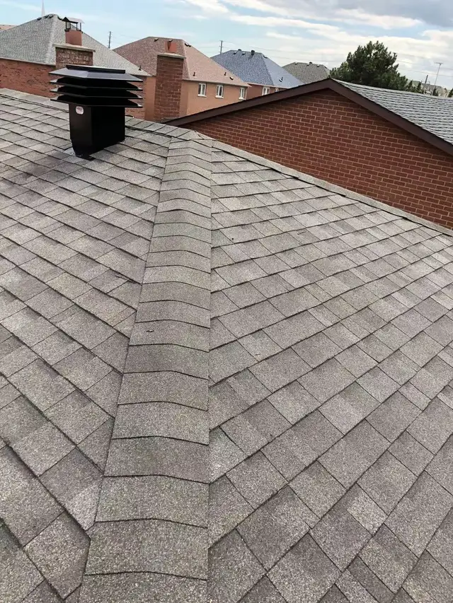 M&F professional ROOFING 6479973999