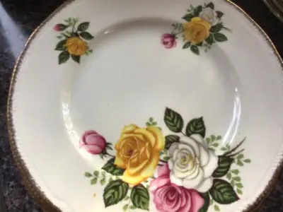 Staffordshire bone China Royal Swan, June Boutique pattern, View more