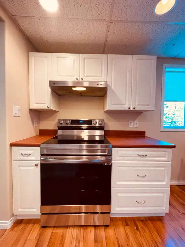 Executive Suite in Downtown Smithers in Short Term Rentals in Terrace - Image 6
