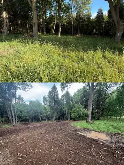 I offer professional forestry mulching and rough cut mowing services, equipped with specialized mach...
