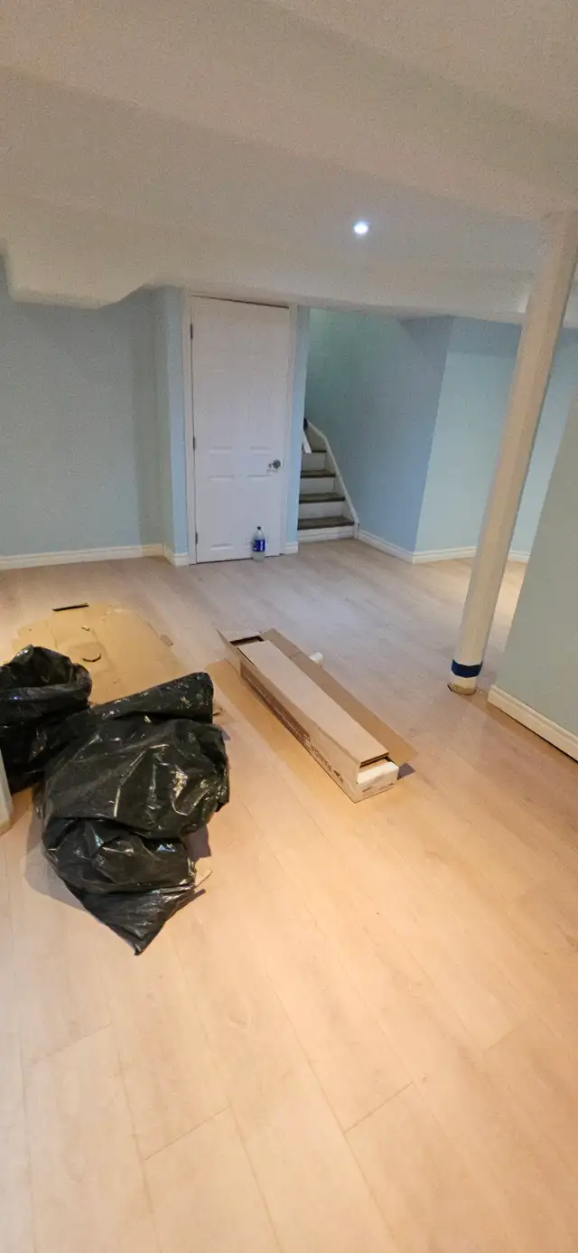 Renovation535271677719357442