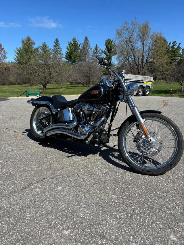 Harley Davidson *low kilometres in Street, Cruisers & Choppers in Ottawa - Image 2