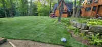 Sod installation and replacement 