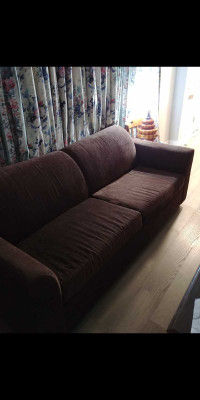 Couch/queen size pull out bed for sale
