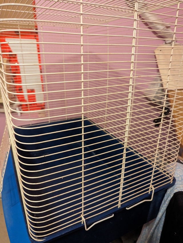 Cage pour oiseaux connure.rat . Furet.cochon dinde Autres animaux à