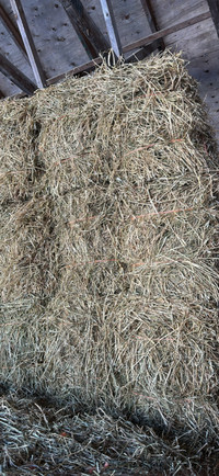 Alfalfa mix small squares hay for sale $8.00/bale
