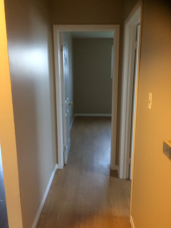 Renting 3 bedrooms in centrally location in Moncton in Long Term Rentals in Moncton - Image 2