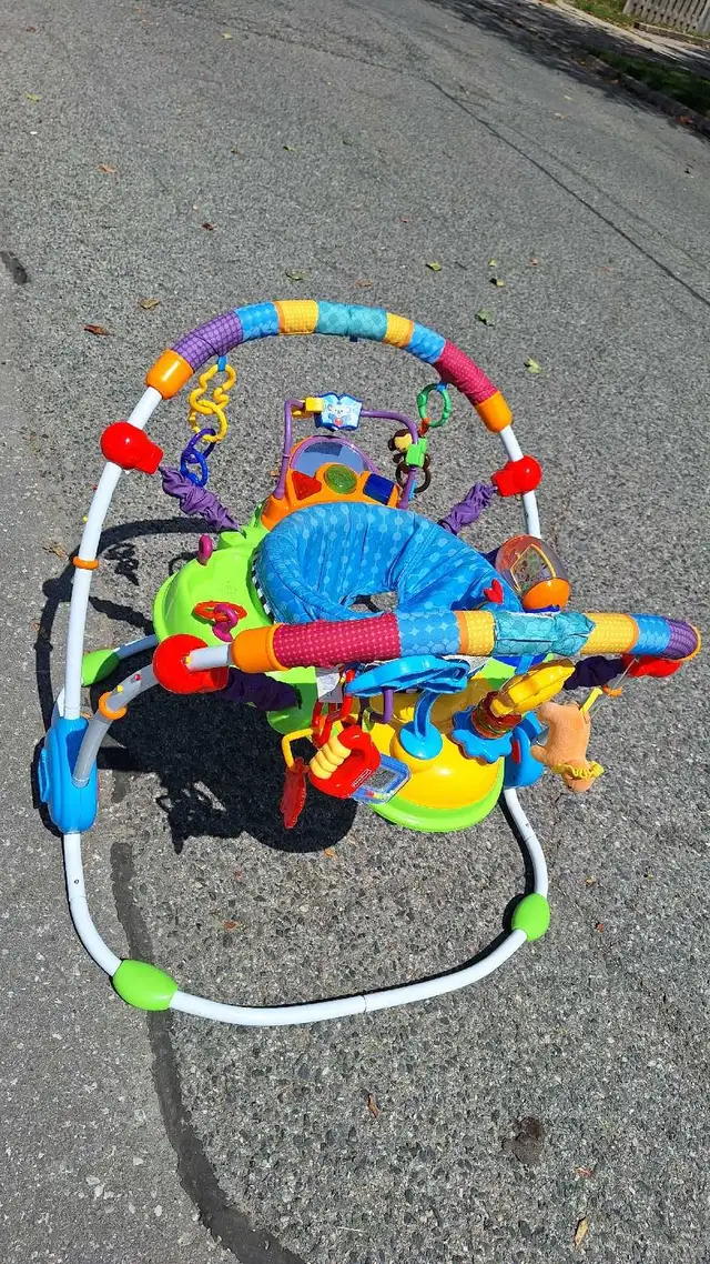 Baby Einstein Activity Jumper538441811819253763