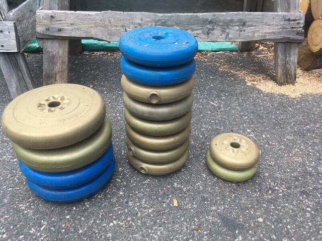Barbell Weights in Exercise Equipment in St. John's