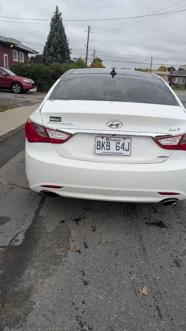 2013 Hyundai Sonata596878048226846723