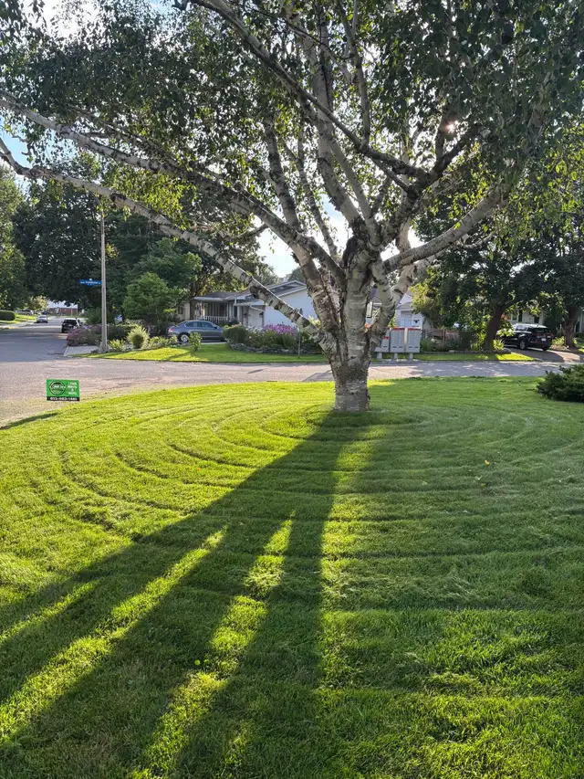 Exterior services & fall cleanup/snow removal in Lawn, Tree Maintenance & Eavestrough in Ottawa - Image 9