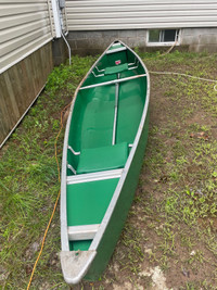 14 ft canoe and paddles