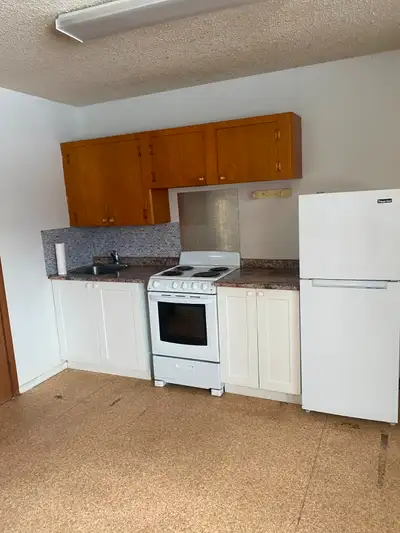 1 bedroom suite Sylvan Lake Beach District