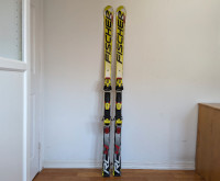 Fischer RC4 Worldcup GS Skis, 175 cm