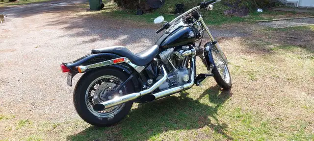 2005 fxst softail standard.price reduced,must go.screaming deal. in Street, Cruisers & Choppers in Gatineau - Image 3