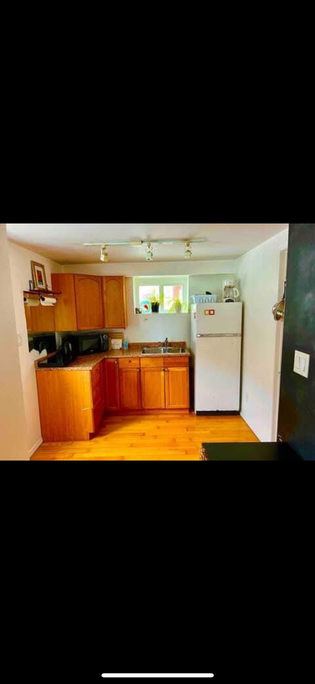 Rossland kitchenette - perfect location  in Short Term Rentals in Penticton