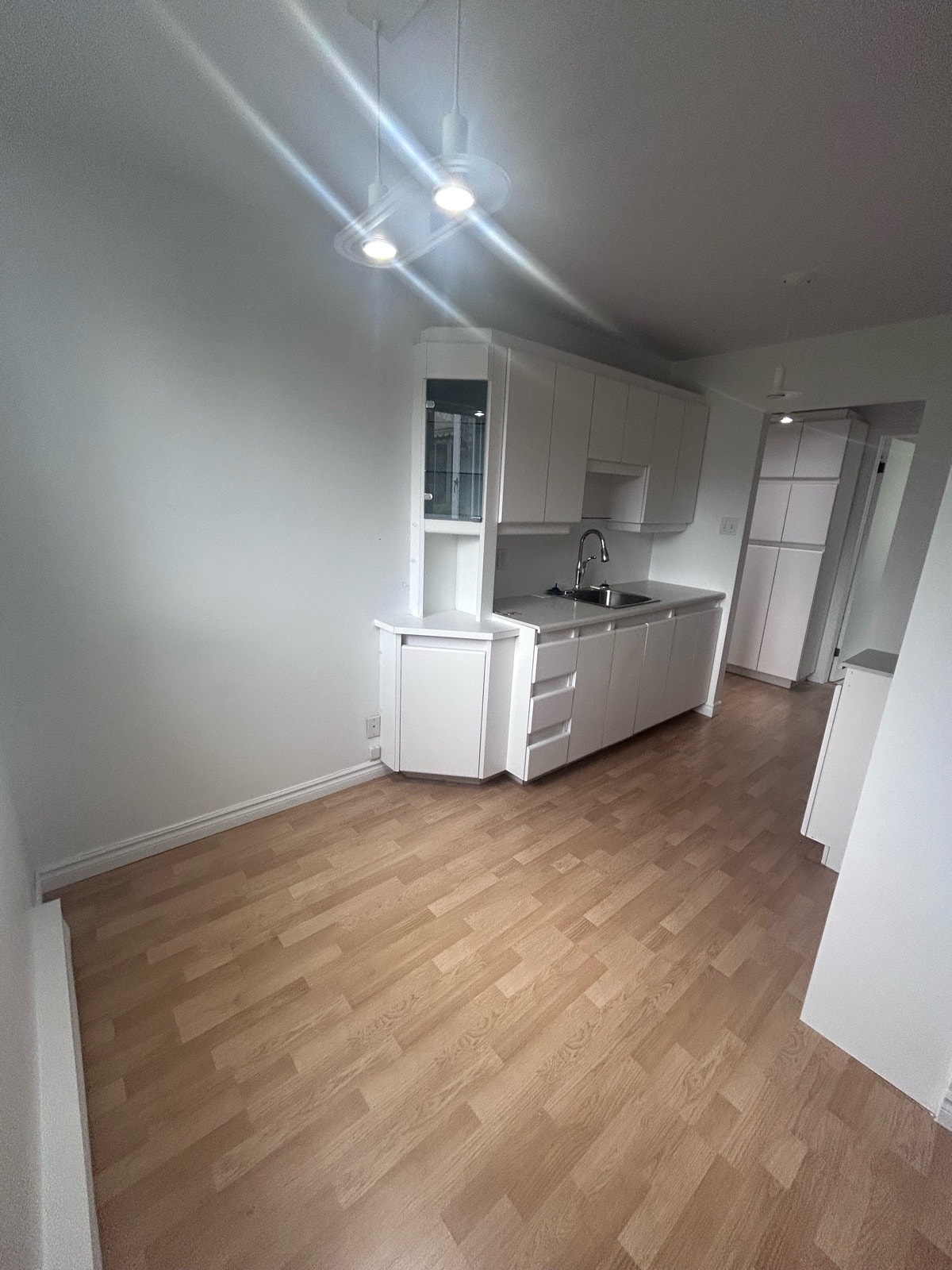 1091 Rue Saint-Désiré — photo 2