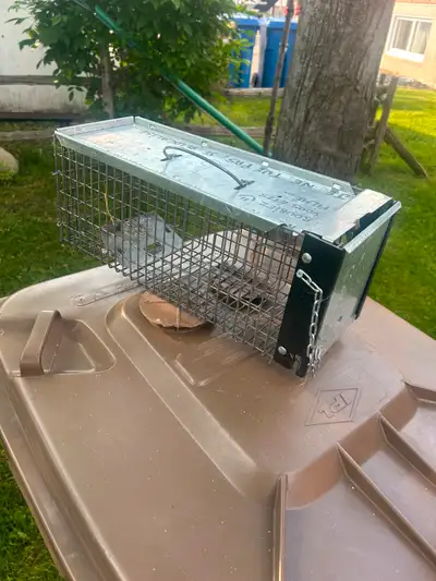 Cage piège pour petit animaux. ## BIEN LIRE LES DIMENSIONS SVP ### Pour re-localiser écureuils ou au...