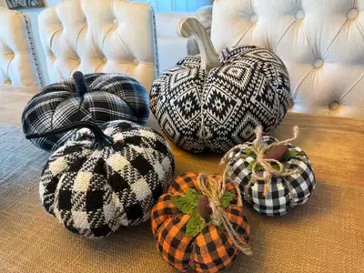 Farmhouse style pumpkin decor, View more