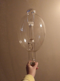 oversized light bulb