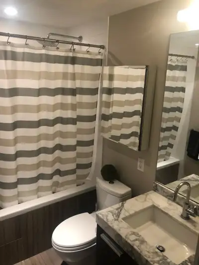 Downtown Vancouver 1 bedroom plus den apartment- pet friendly