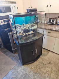 Top fin 36 gallon bow front aquarium + stand + accessories 