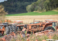 Free yard cleanup scrap clean up 