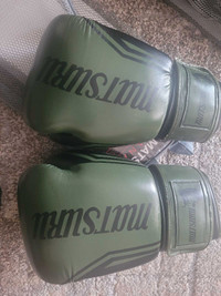 Boxing gloves 16 oz and shin guards 