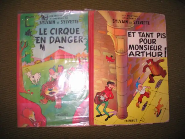 ANCIENS LIVRES - COMTESSE DE SÉGUR -  LE GÉNÉRAL DOUKARINE in Arts & Collectibles in Laval / North Shore - Image 5