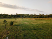 Get out of the city to this beautiful rural acreage