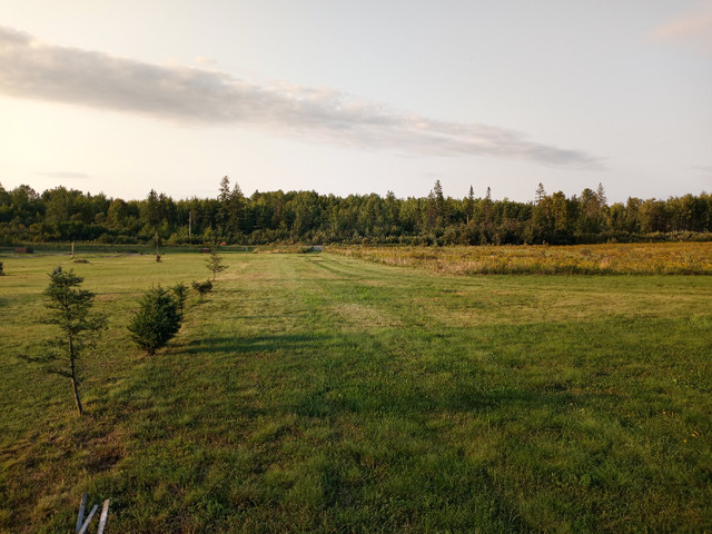 Get out of the city to this beautiful rural acreage in Land for Sale in City of Toronto