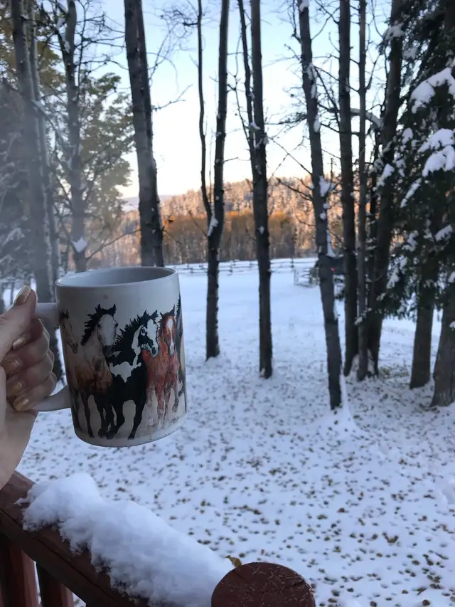 Winter wonderland with private hot tub in British Columbia in Canada - Image 7