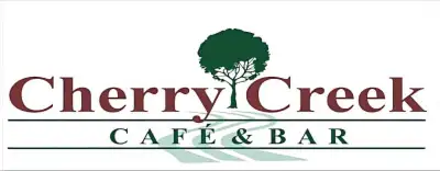 Restaurant server/bartender , View more