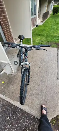 Bike/cycle