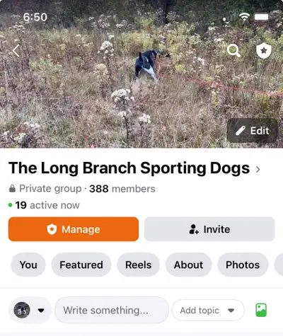 German Shorthair Pointer Puppies !, View more