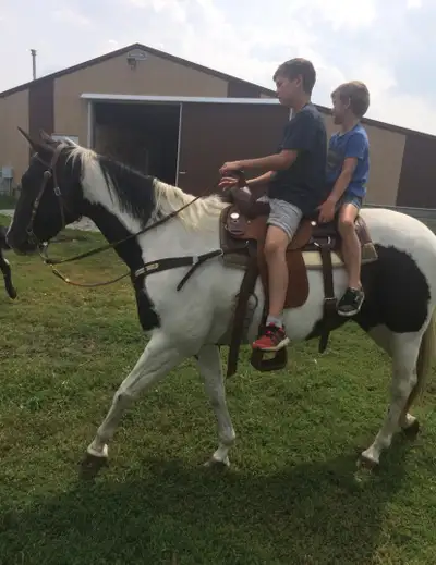 2009 AQHA All Round Family Ranch Mare, View more