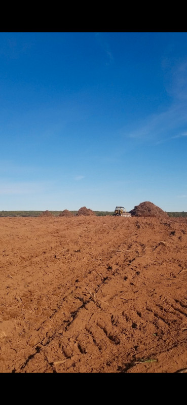 LAND CLEARING in Farming Equipment in Summerside - Image 2