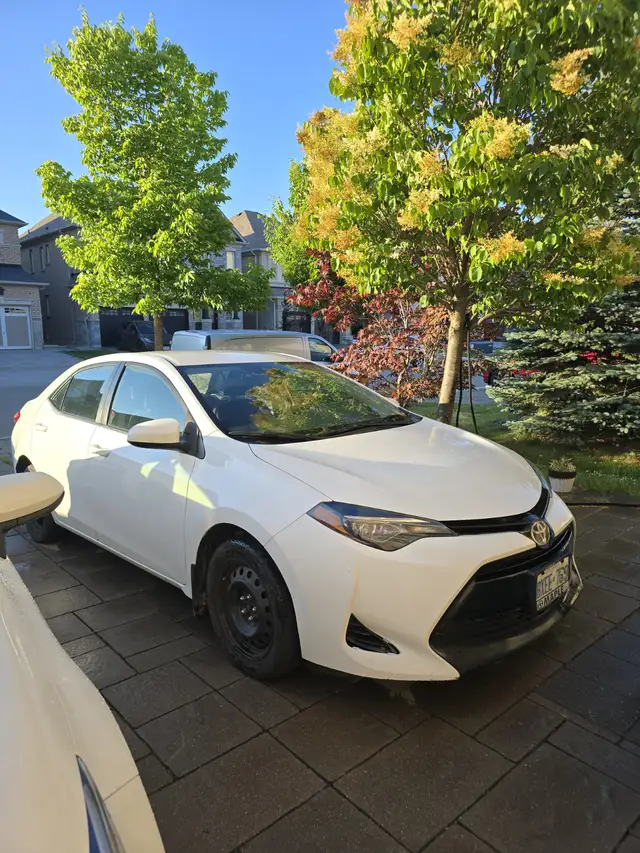 2017 Toyota Corolla LE – One Owner – Excellent Condition! in Cars & Trucks in City of Toronto - Image 2