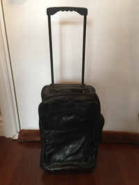 Small Luggage/Laptop Bag