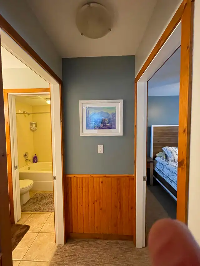 Condo For rent at Silverstar Mtn Resort shoulder season only in Long Term Rentals in Kelowna - Image 8