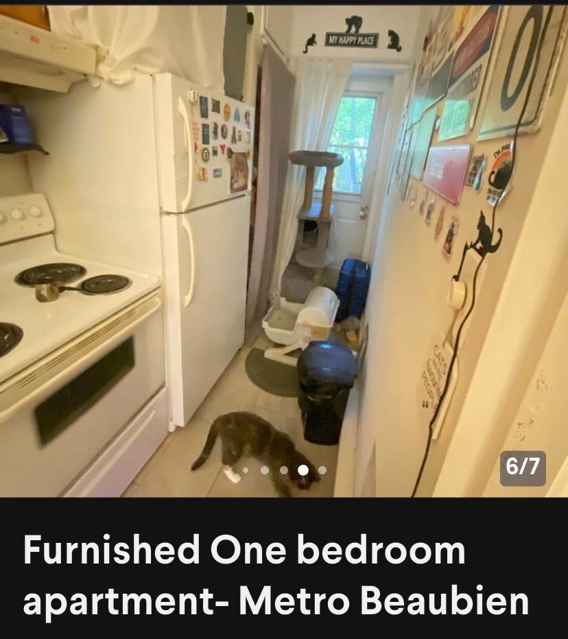 One-Bedroom Apartment on Saint-Denis Street — photo 3