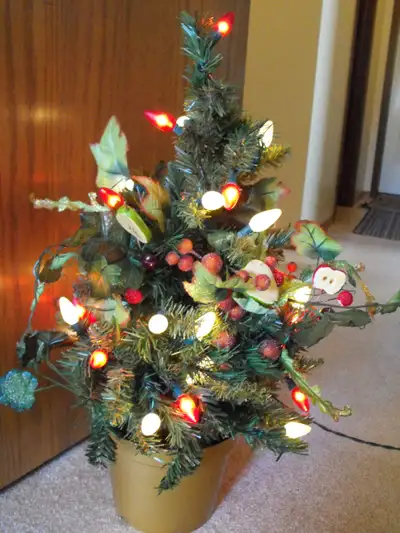 UNIQUE FRUIT TREE, View more