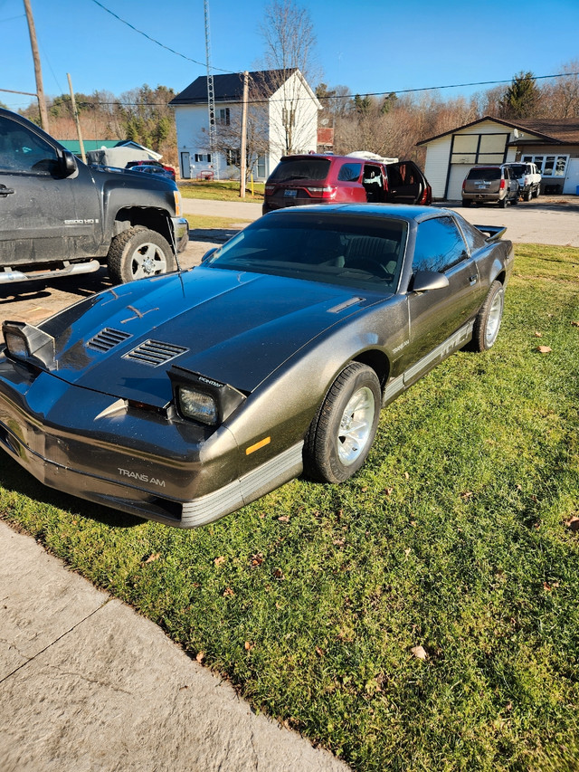 1986 Trans Am OBO in Classic Cars in Norfolk County - Image 2