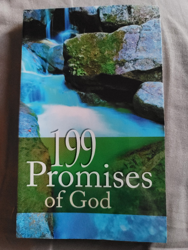 ***"199 Promises of God" Book*** in Non-fiction in Sudbury