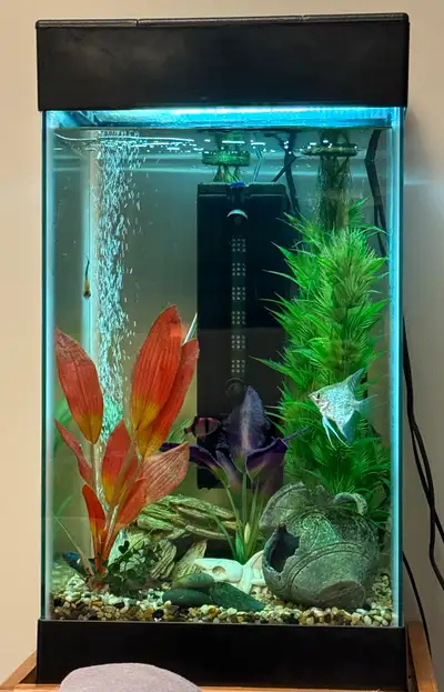 Great fish tank, just decided to downgrade and go towards my first salt water tank. **DOESN’T COME W...