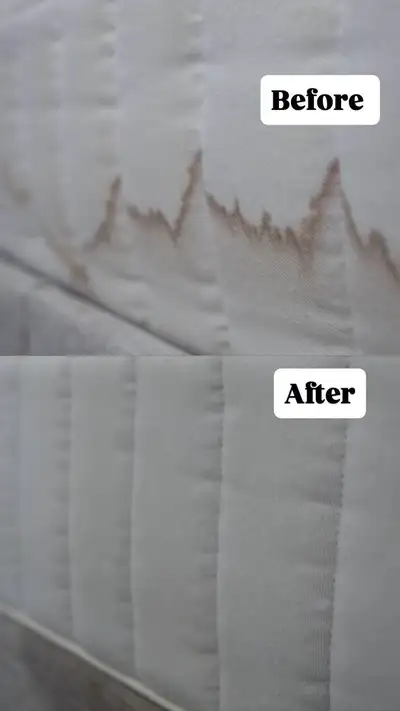 Premium Upholstery & Mattress Cleaning | Toronto & GTA, View more