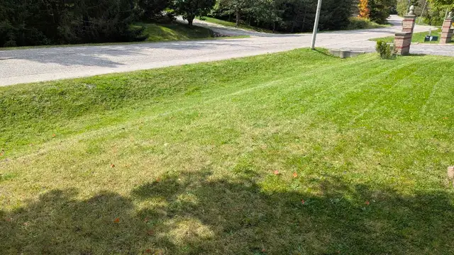 Ray's Lawn Mowing530755412684318723