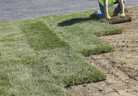 Sod, Mulch, Irrigation and lighting systems