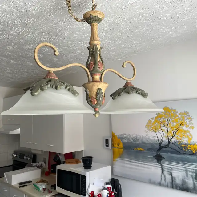 Luminaire in Indoor Lighting & Fans in Sherbrooke - Image 2