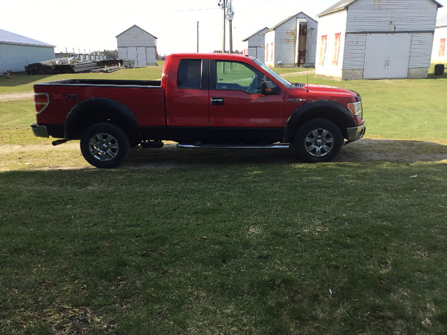 2010 Ford F 150. 4X4 in Cars & Trucks in Norfolk County - Image 2